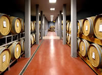 LA CANTINA VALPOLICELLA NEGRAR: FATTURATO A 24 MILIONI DI EURO